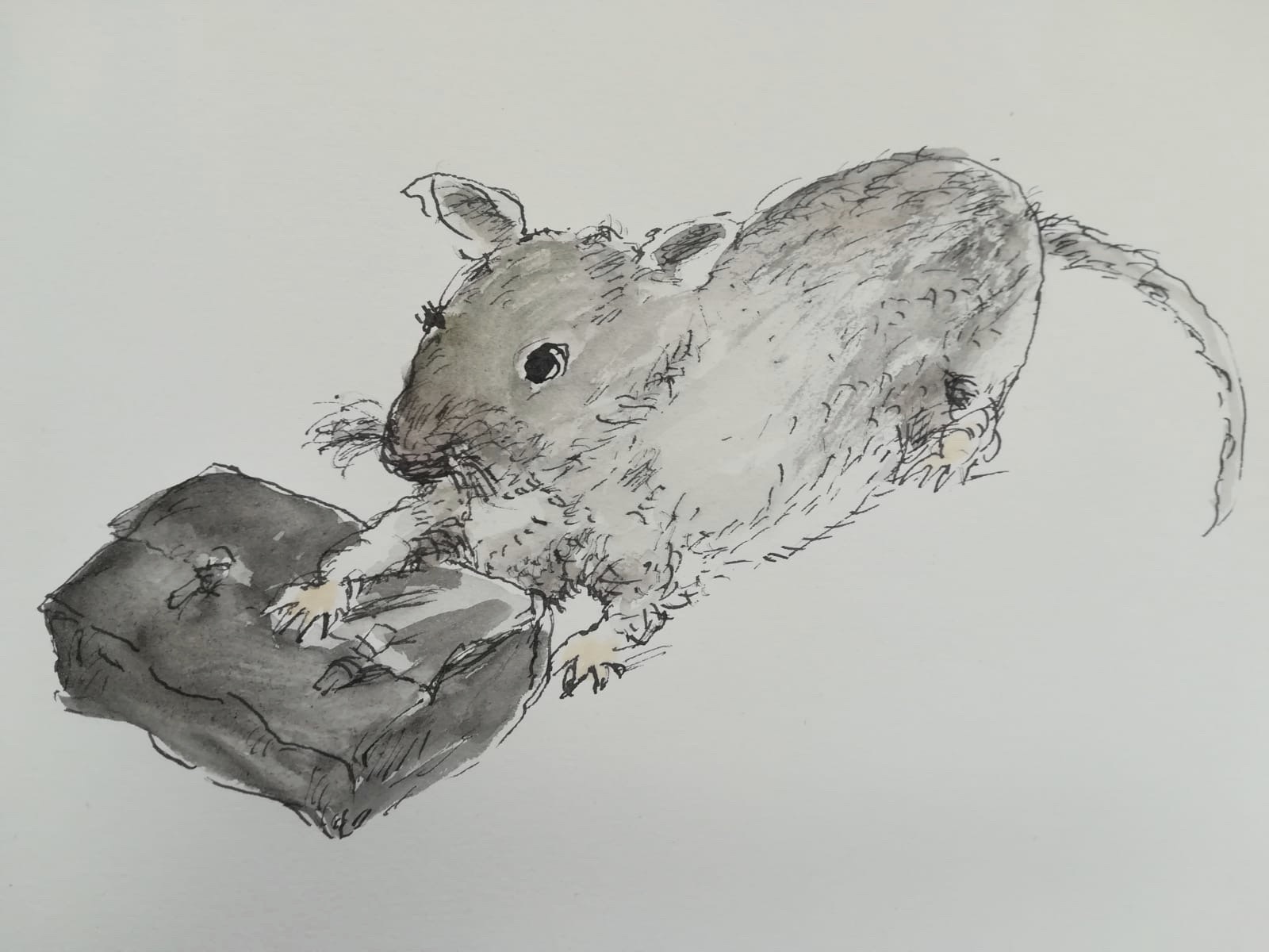 Thumb_Drawings - 27.jpeg